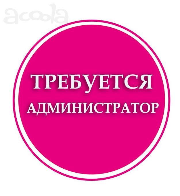 Помощник администратора