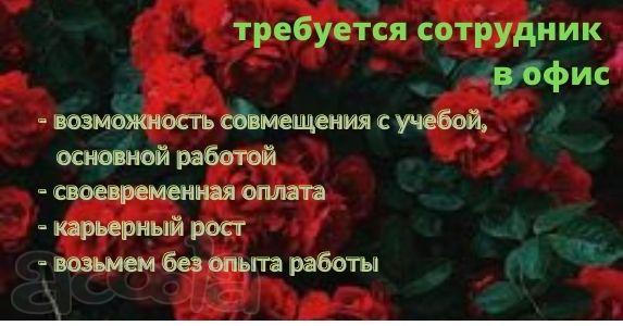 Помощник в офис